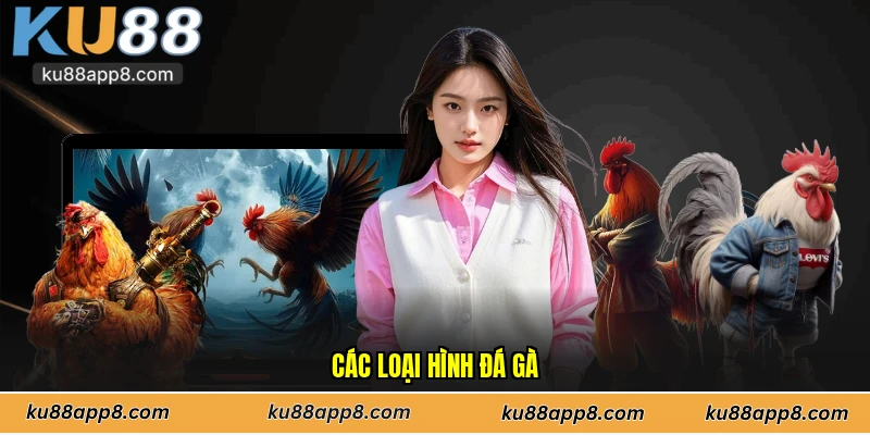 Các loại hình đá gà