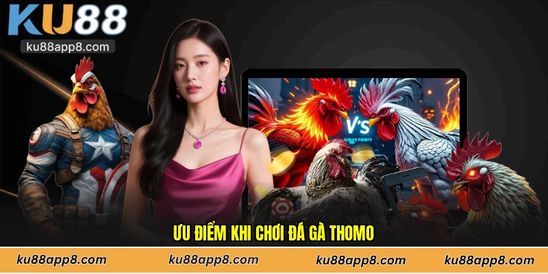 Ưu điểm khi chơi đá gà Thomo